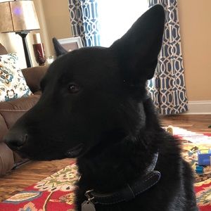 Meet your Posher, Haley